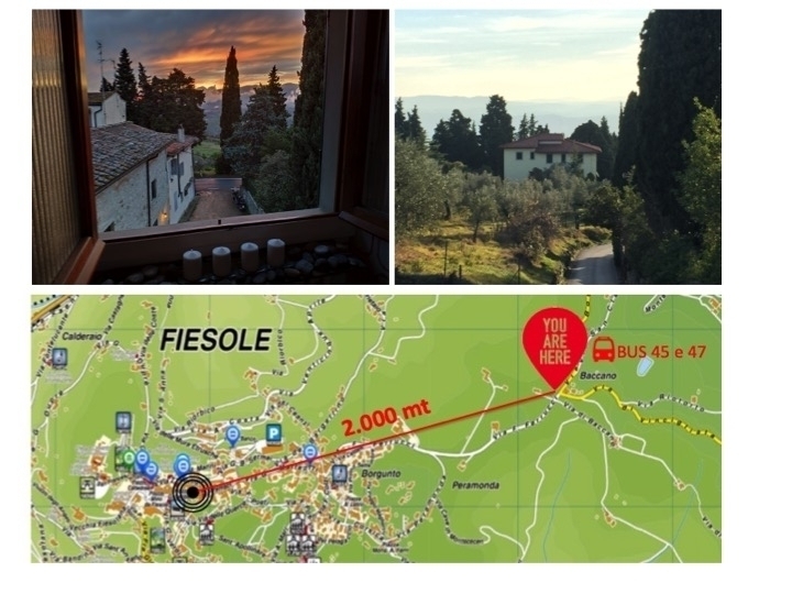 NEL VERDE - Villa il Baccano                -                Fiesole Firenze